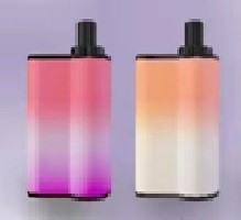 Mix Flavor 5000 Puff  E Liquid Cigarettes Again Dtl Vape With 950MAh Battery